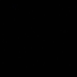 Meet your Posher, Marium